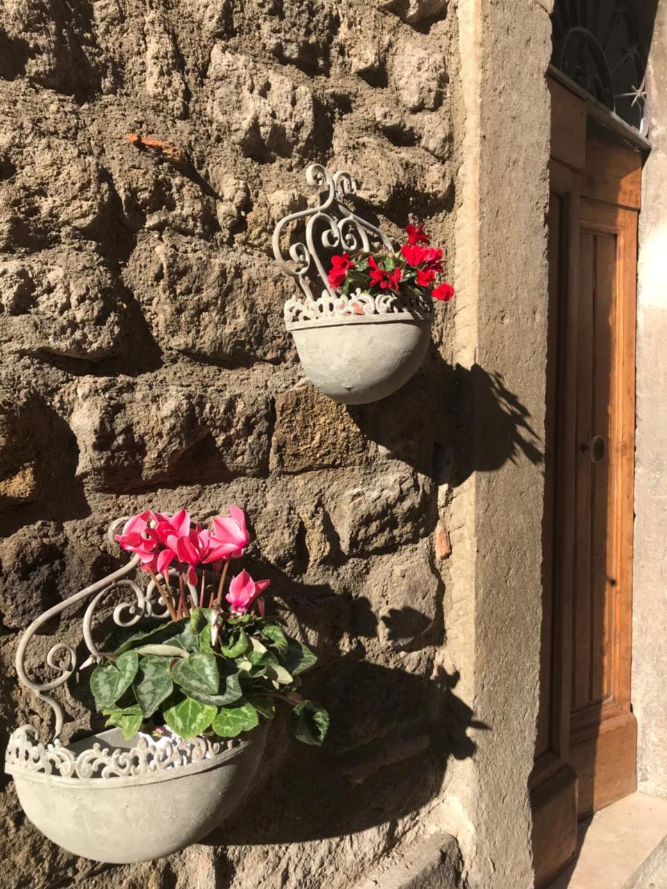 Il Gallo Viterbo Eksteriør billede